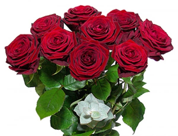 Bouquet de roses rouges